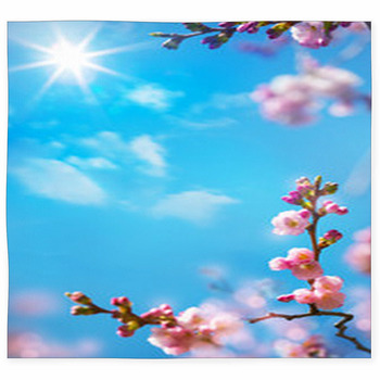 Abstract Floral Spring Background Custom Size Floor Mat