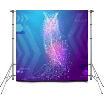 Abstract Image Owl Bird In The Custom Size Backdrop