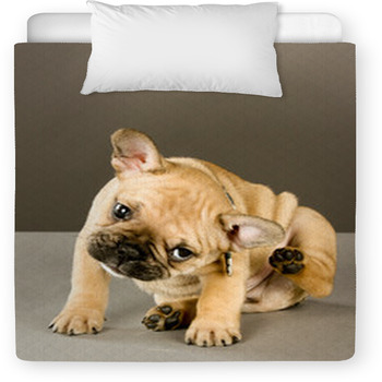 Adorable Scratching Puppy Toddler Duvet