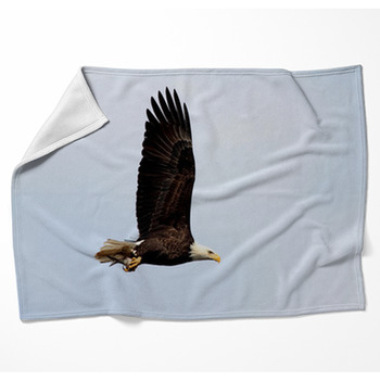 Adult Bald Eagle (haliaeetus Woven Throw Blanket