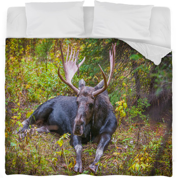 Moose Fleece Blanket Throws Free Personalization