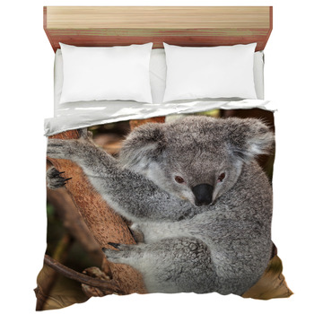 koala comforter