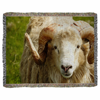 Adult Ram Sheep In A Grass Field Woven Throw Blanket