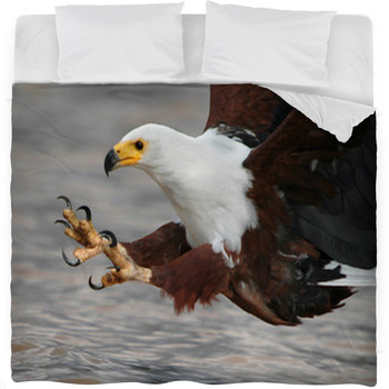 African Fish Eagle With Fish At Fleece Bed Blanket