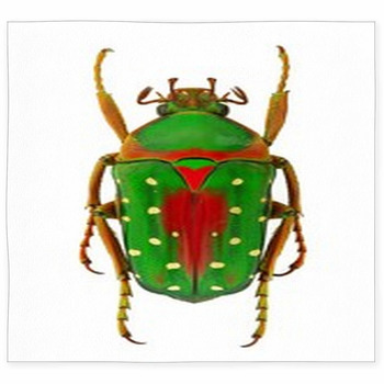 African Flower Beetle Custom Size Floor Mat