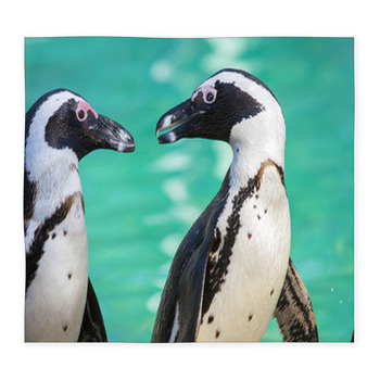 African Penguin Or Jackass Penguin  Custom Size Floor Mat