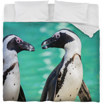 African Penguin Or Jackass Penguin Fleece Bed Blanket