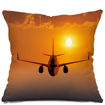 Airplane Pillows