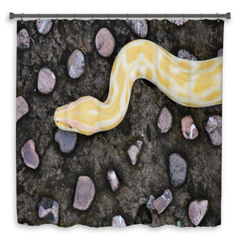 Albino Phyton Shower Curtain