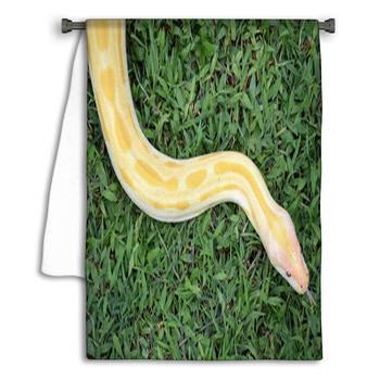 Albino Phyton Towel