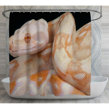 Albino Snake / Boa Constrictor Shower Curtain