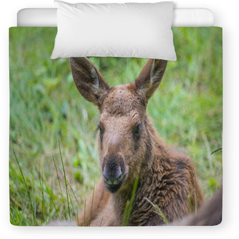 Alces Alces - Moose - Baby Animal Toddler Duvet
