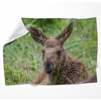 Alces Alces - Moose - Baby Animal Woven Throw Blanket