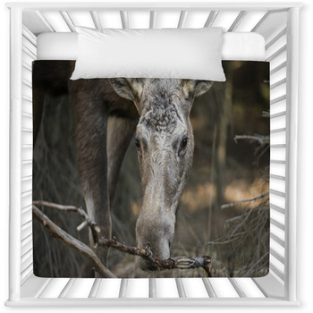 Alces Alces - Moose Baby Crib Comforter