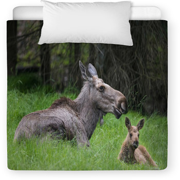 Alces Alces - Moose Toddler Comforter