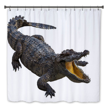 Alligator & Crocodile  Bath Decor