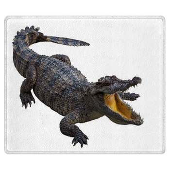 Alligator & Crocodile  Rugs