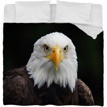 American Bald Eagle (Haliaeetus Fleece Bed Blanket