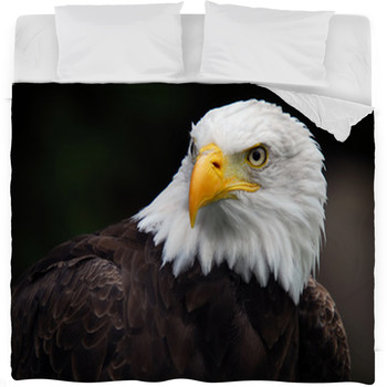 American Bald Eagle (Haliaeetus Fleece Bed Blanket