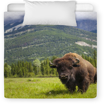 Bison online crib bedding
