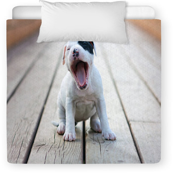 American Staffordshire Terrier Puppy Toddler Comforter