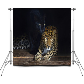 Amur Leopard Custom Size Backdrop