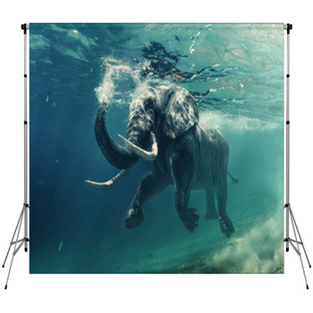 An Elephant Underwater Fleece Backdrop