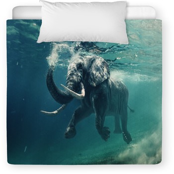 An Elephant Underwater Toddler Comforter