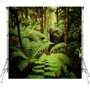 Ancient Rainforest Fleece Backdrop