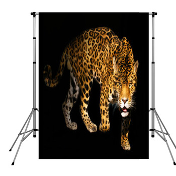 Angry Wild Panther On Black Pole Pocket Backdrop
