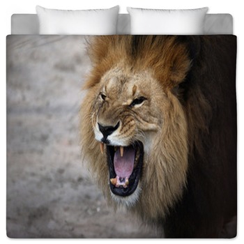 Animal Bedding