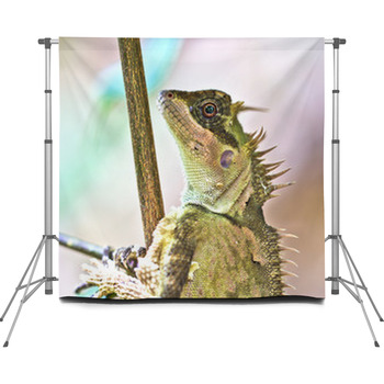 Animal Custom Size Backdrop