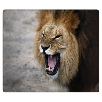 Animal Rugs