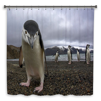 Antarctiic Penguin Custom Size Shower Curtain