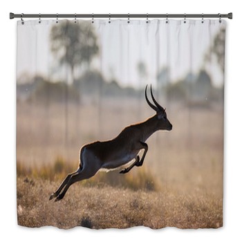 Antelope Bath Decor