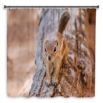 Antelope Squirrel Custom Size Shower Curtain