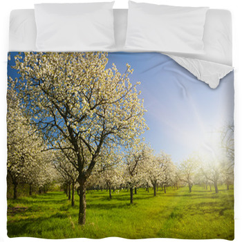 Apple Groove Fleece Bed Blanket