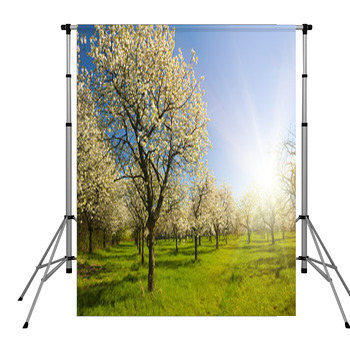 Apple Groove Pole Pocket Backdrop