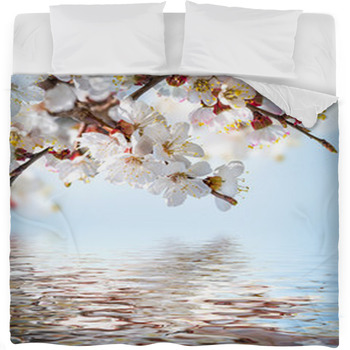 Apricot Flowers In Spring, Floral Fleece Bed Blanket