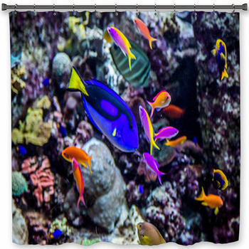 Aquarium Tropical Fish On A Coral Reef Shower Curtain