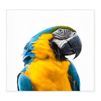 Ara Parrot Custom Size Floor Mat