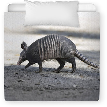 Armadillo Crossing The Road Toddler Comforter