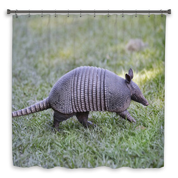 Armadillo Custom Size Shower Curtain