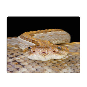 Aruba Rattlensnake / Crotalus Durissus Unicolor Bath Mat