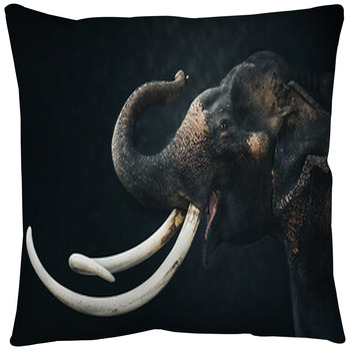 Elephant Throw Pillows Shams
