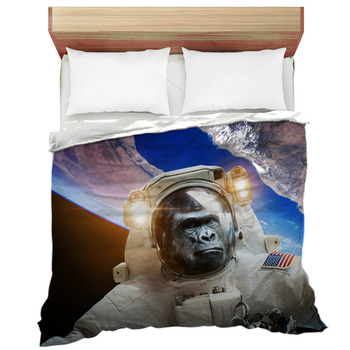 monkey sheets queen