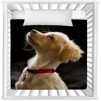 Attentive Puppy In Color Baby Crib Comforter