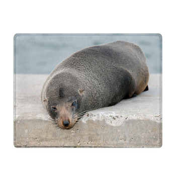 Australia Fur Seal Close Up Portrait Bath Mat