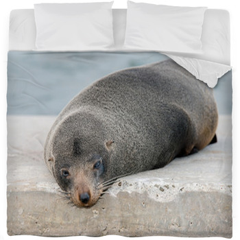 Australia Fur Seal Close Up Portrait Fleece Bed Blanket