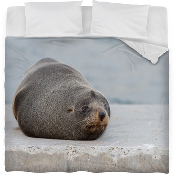 Australia Fur Seal Close Up Portrait Fleece Bed Blanket
